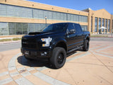 Prior Sales 2016