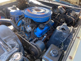 1970 1/2 Falcon ON THE WATER NOW
